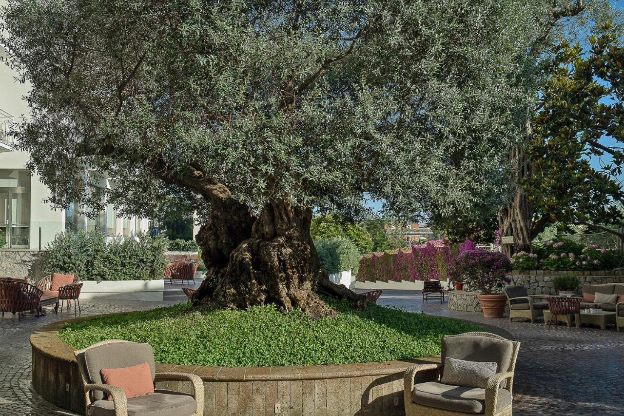 Hotel Conca Park Sorrento Bagian luar foto